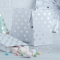 Preview: candy-bags-punkte-pick-mix-silber-weiss