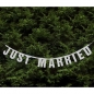 Preview: Girlande Just Married - silber
