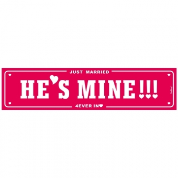 Nummernschild Just Married He's Mine - weiß/rosa