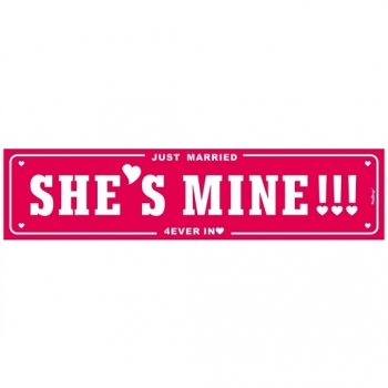 Nummernschild Just Married She's Mine - weiß/rosa
