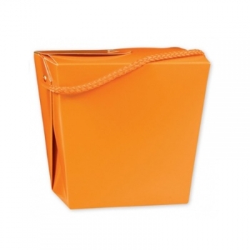 Bright Colours Pint Pails orange