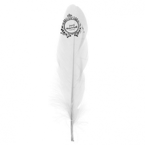 Just married Feather white