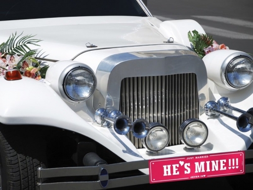 Nummernschild Just Married He's Mine - weiß/rosa