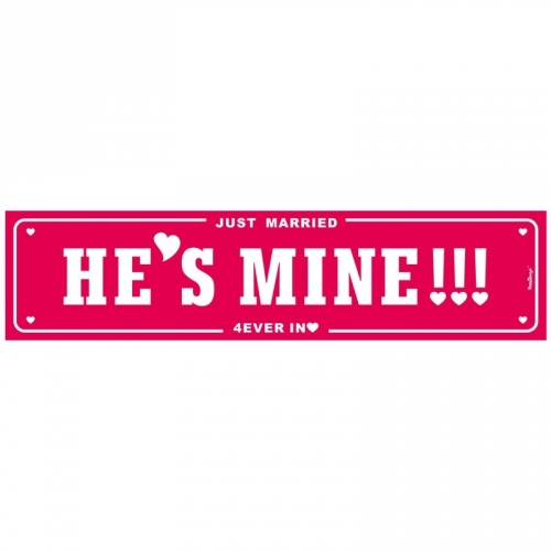 Nummernschild Just Married He's Mine - weiß/rosa