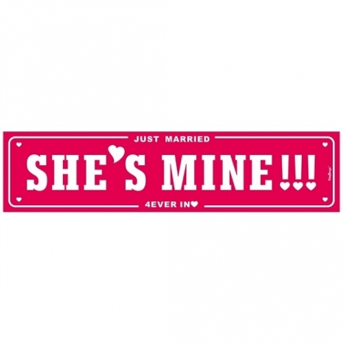 Nummernschild Just Married She's Mine - weiß/rosa